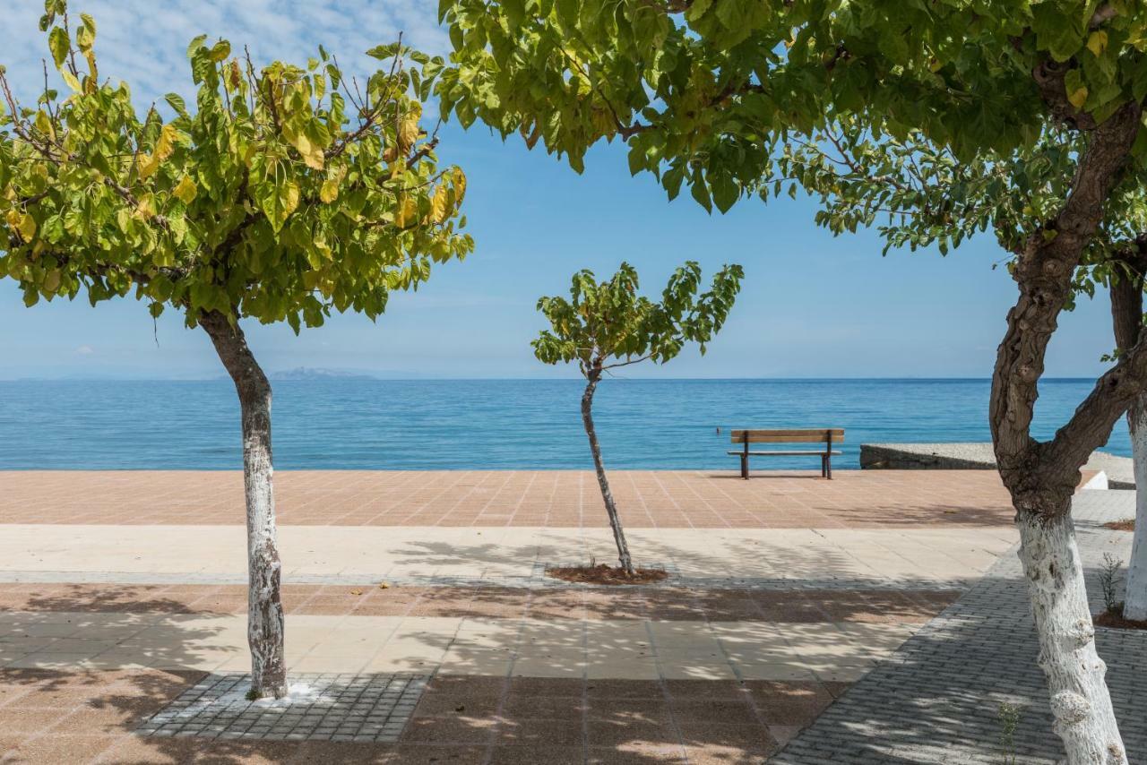 Areti Apartments Poros (Kefalonia) Exterior foto